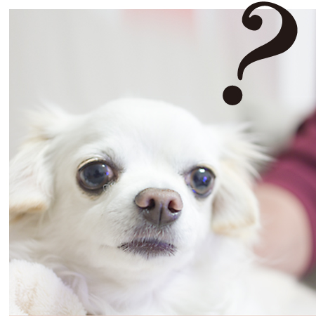 「看板製作でよくあるご質問（FAQ）」のイメージ写真