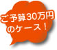 ご予算30万円のケース！