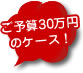 ご予算30万円のケース!